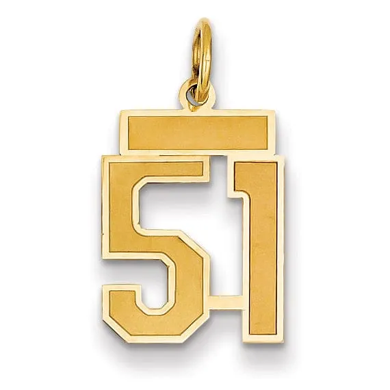 14k Yellow Gold Satin Brush Finish Small Size Number 51 Charm Pendant