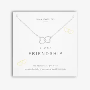 A Little Friendship Silver 46cm   5cm Extender Necklace 5275