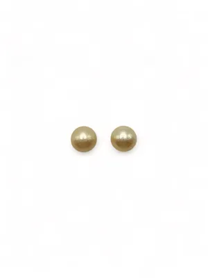 CHAMPAGNE SOUTH SEA PEARL EARRINGS