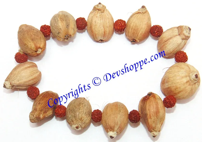 Laghu nariyal bracelet for prosperity and wealth