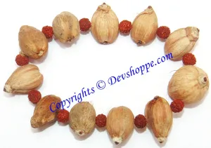 Laghu nariyal bracelet for prosperity and wealth