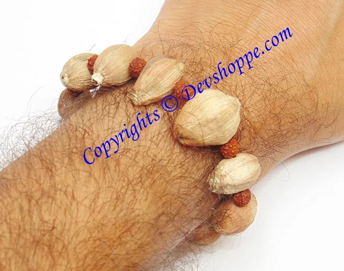 Laghu nariyal bracelet for prosperity and wealth